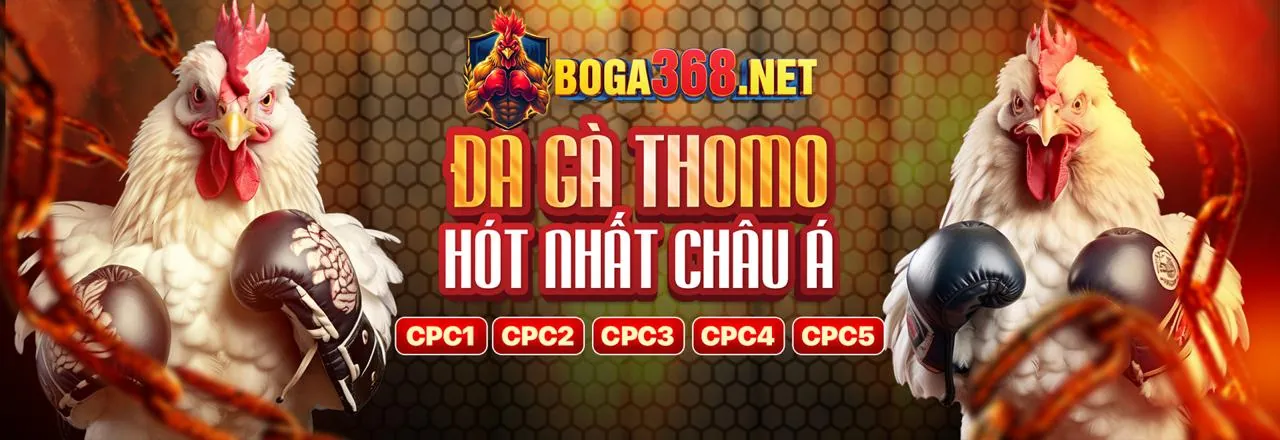 Đá Gà Nòi vu88